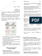 Resumen Solemne 2 Psicologiaa