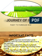 Journey of Rice: Paddy To Parboiled Rice