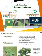 Bab 1 Pertumbuhan Dan Perkembangan Tumbuhan