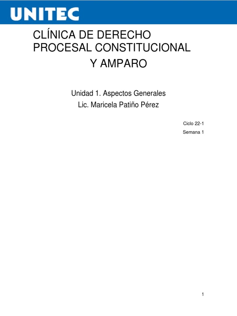 Clínica de Derecho Procesal Constitucional y Amparo 1 | PDF | Ley ...