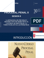 Sesión 8 - Derecho Procesal Penal II