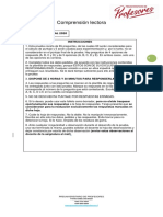 Ensayo Nacional 2020 Comprensión Lectora Preuniversitario de Profesores