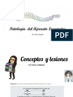 Conceptos y Lesiones