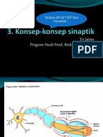 Konsep Sinaptik