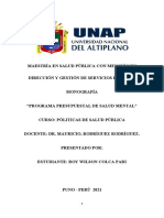 Monografia Programa Presupuestal Designado A La Salud Mental