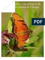 1082 Ecuador Lepidoptera of Cuenca