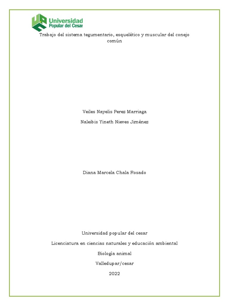 Trabajo Del Conejo PDF Pulmón Sistema circulatorio