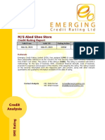 SME Report - MS Abed Shoe Store - 2022 - Draft