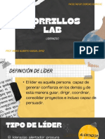 Zorrillos Lab (Proyecto Final) - Priscilla Lira Camarillo