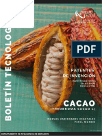 Boletin Cacao