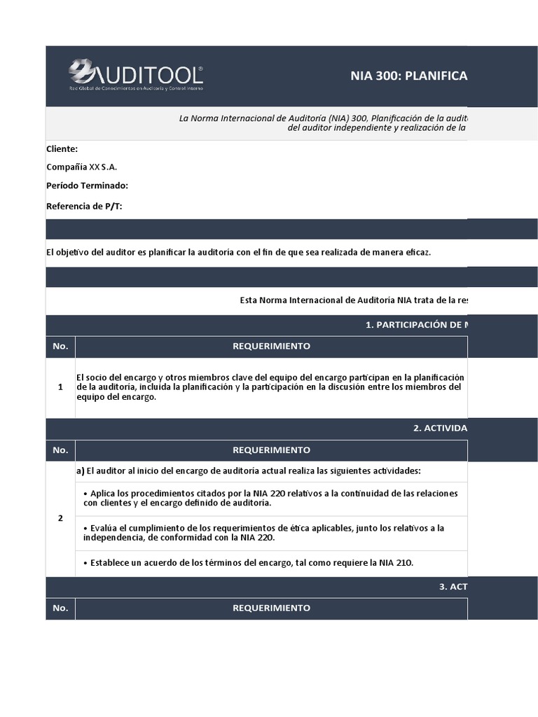 NIA 300 Planificacion de La Auditoria de Estados Financieros | PDF ...