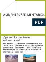 Ambientes sedimentarios continentales, marinos y de transición