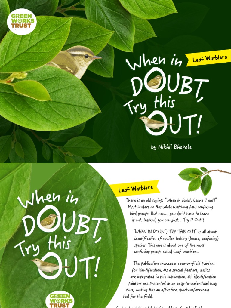 Leaf Warblers Horizontal Pdf Ornithology Birds