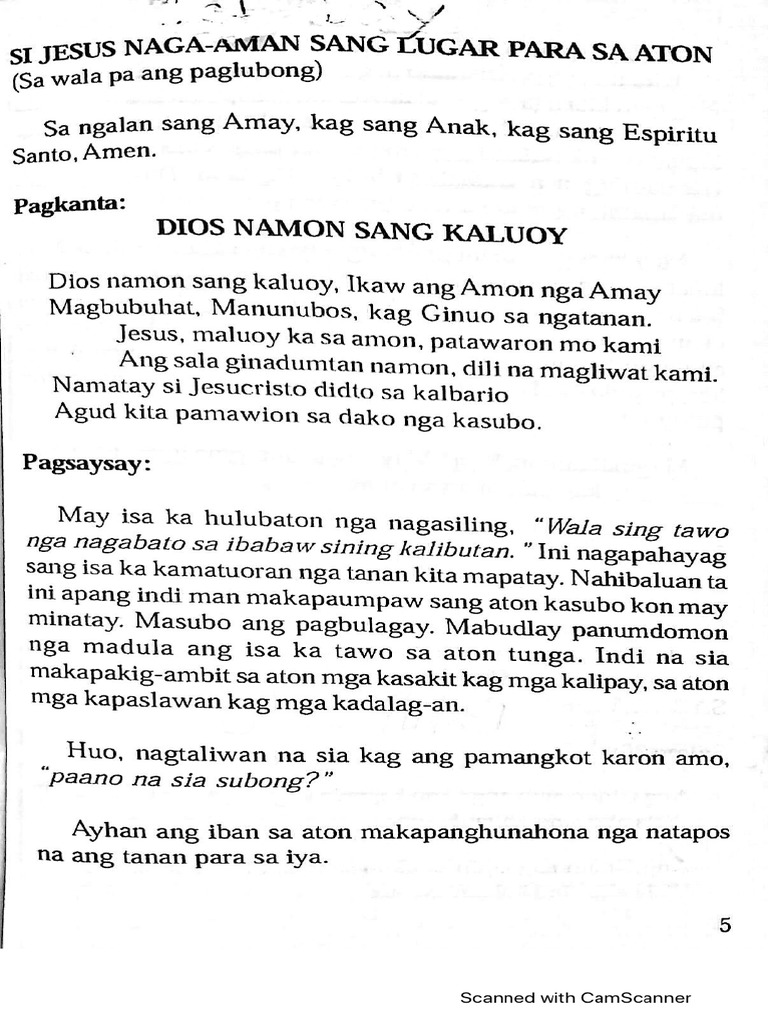 9 Days Novena PDF
