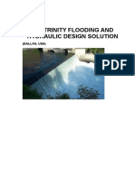 Trinity River Flooding Solution Report