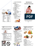 Leaflet Nutrisi Ibu Menyusui