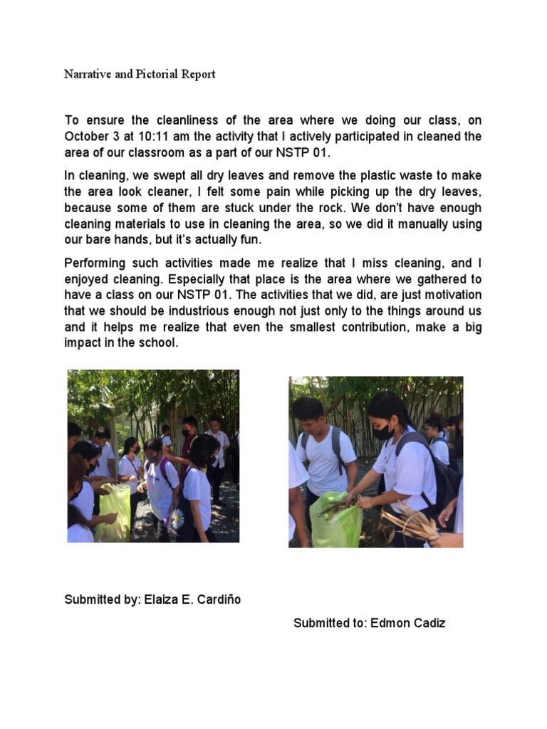 Narrative and Pictorial Report | PDF