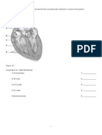 Chapter 18 Heart Testbank Questions