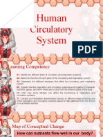 Learn About the Circulatory System