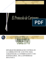 Protocolo Cartagena