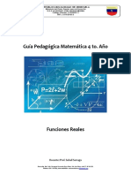 Guía PEDAGOGICA Matematica 4 Año Funciones Reales