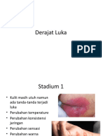 Derajat Luka