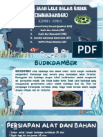 Budikdamber