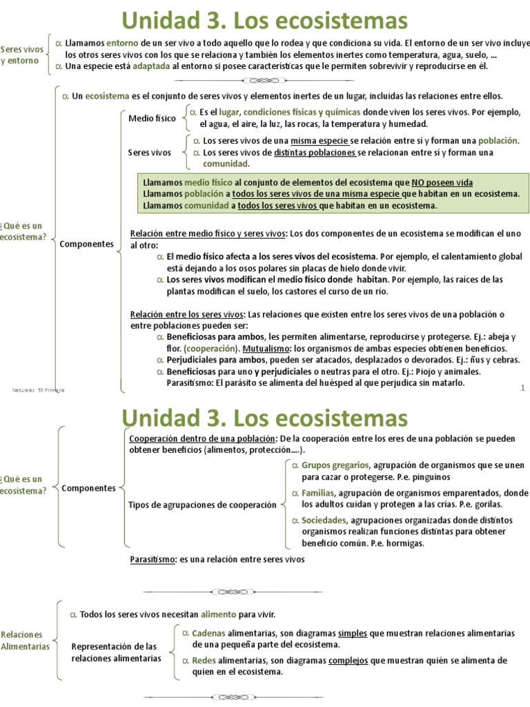 Unidad 3 Los Ecosistemas | PDF | Ecosistema | Mar