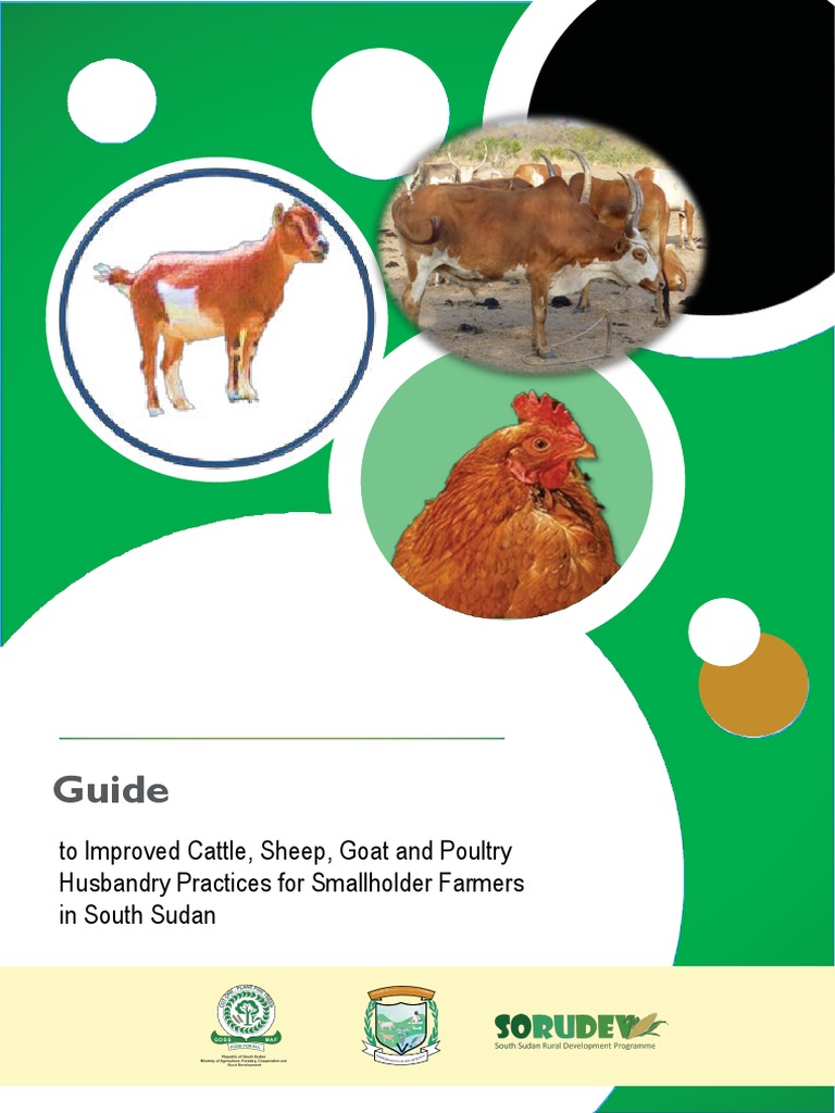 Livestock visual data 2