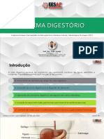 Sistema Digestorio