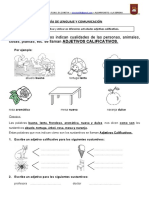 Adjetivos Calificativos.