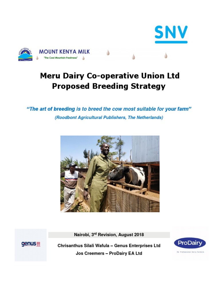 Breeding Strategy | PDF | Cattle | Dairy Cattle
