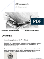 Delimitari Conceptuale in Biomecanica