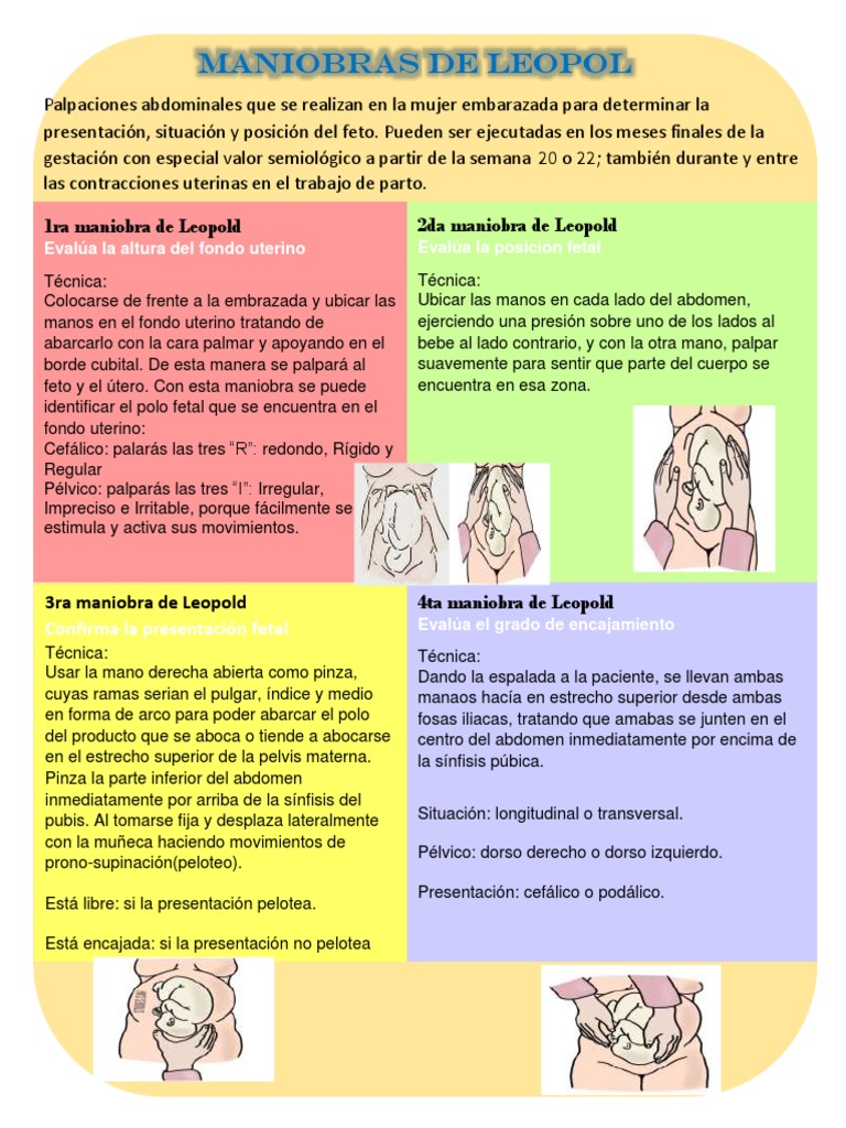 Maniobras | PDF | Pelvis | Parto, image size:768x1024