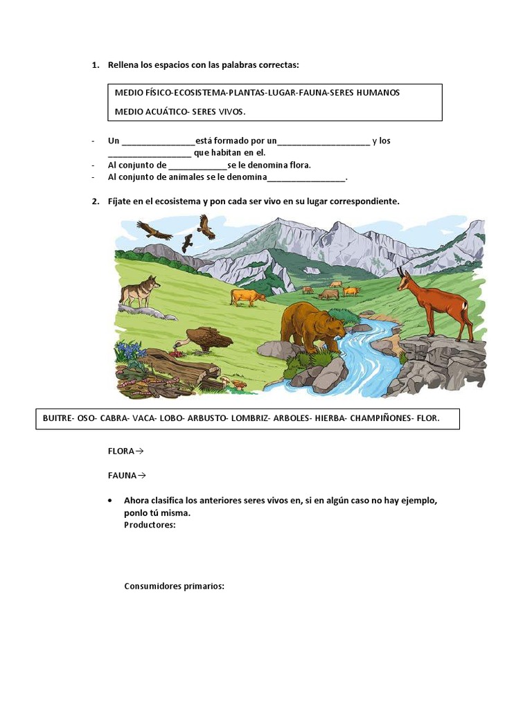 Ejercicios Ecosistemas | PDF | Ecosistema | Organismos