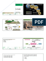 Niveles organización biológica ecología