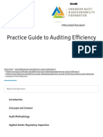 Examples of Audit Objectives - Canadian Audit and Accountability Foundation
