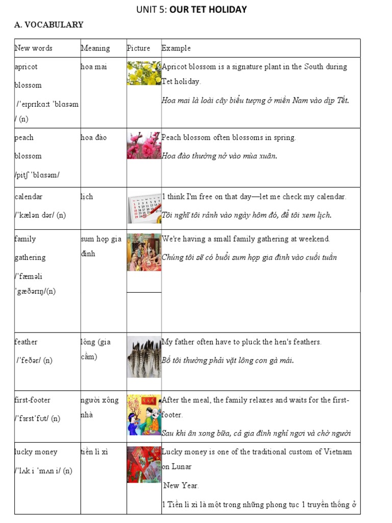 U6 | PDF