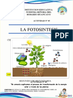 Actividad Nº5-Fotosintesis Explica