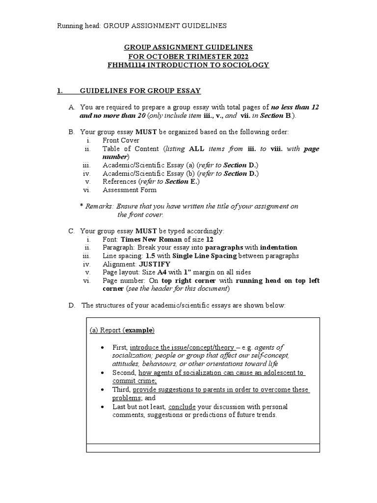 Group Assignment Guidelines for Sociology | PDF | Paragraph | Citation
