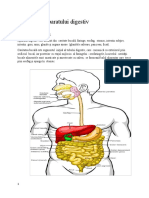 C 11 Semiologia Aparatului Digestiv