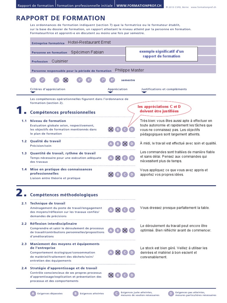 Exemple - Rapport de Formation | PDF | Psychologie | Concept de psychologie