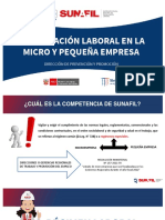 La Fiscalización Laboral A Sector Mypes 2022