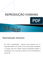 Reprodução Humana