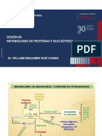 Metabolismo de Proteínas y Nucleótidos