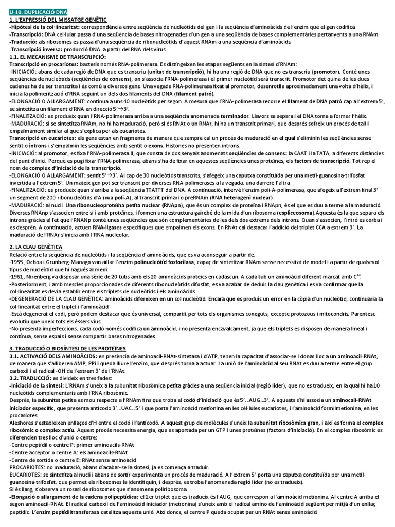 Examen Bio 3 | PDF