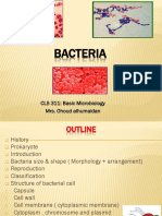 311 Bacteria Student