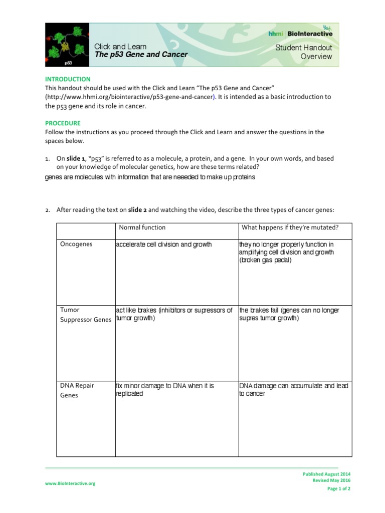 p53 Worksheet Overview Final PDF P53 Transcription Factor