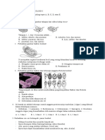 SOAL INTENSIFIKASI BIOLOGI