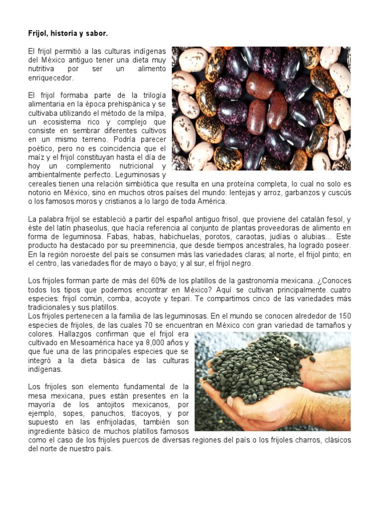 Origen e historia del frijol en México | PDF | Frijol | Phaseolus Vulgaris